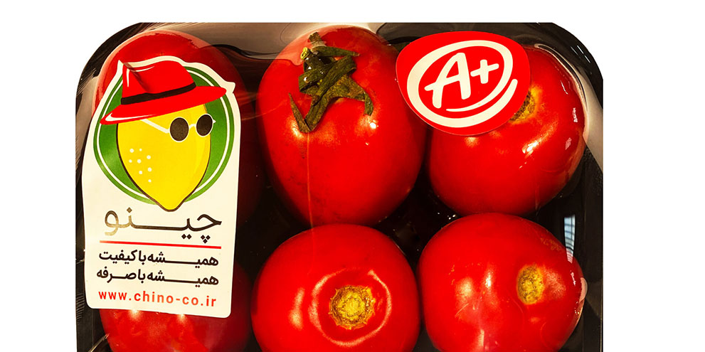 شرکت چینو
